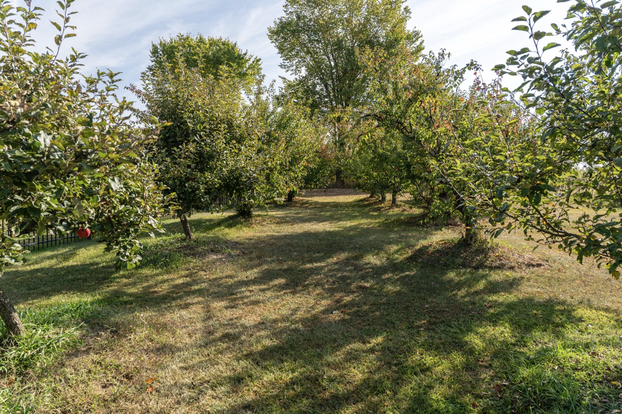 846635 Township Rd 9, Bright, Ontario    - Photo 21 - RP2542842980