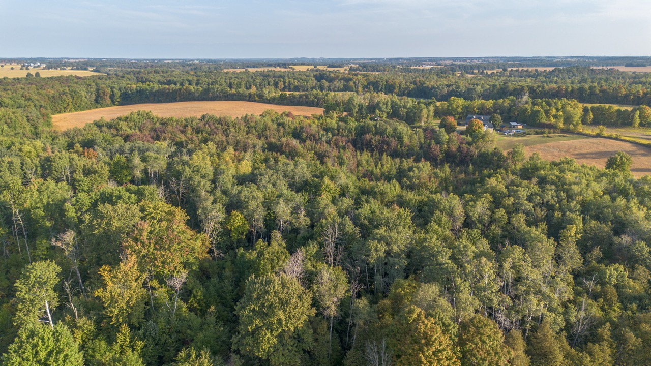 846635 Township Rd 9, Bright, Ontario    - Photo 57 - RP2542842980