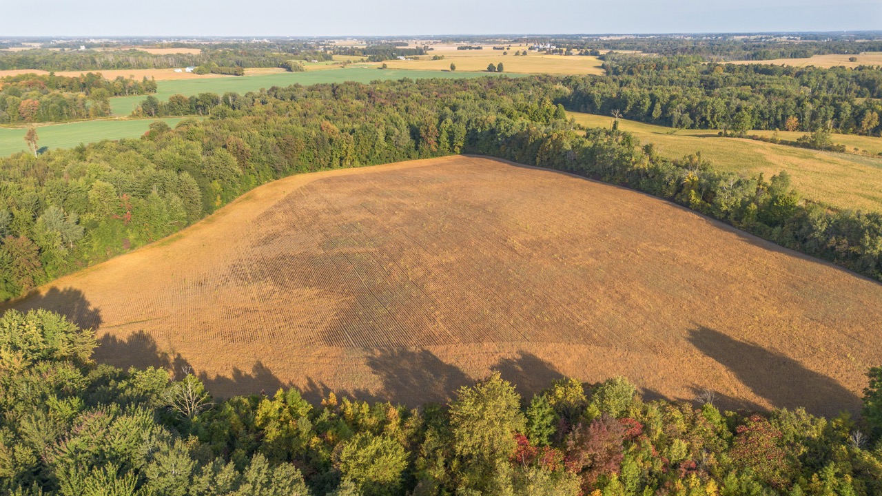 846635 Township Rd 9, Bright, Ontario    - Photo 58 - RP2542842980