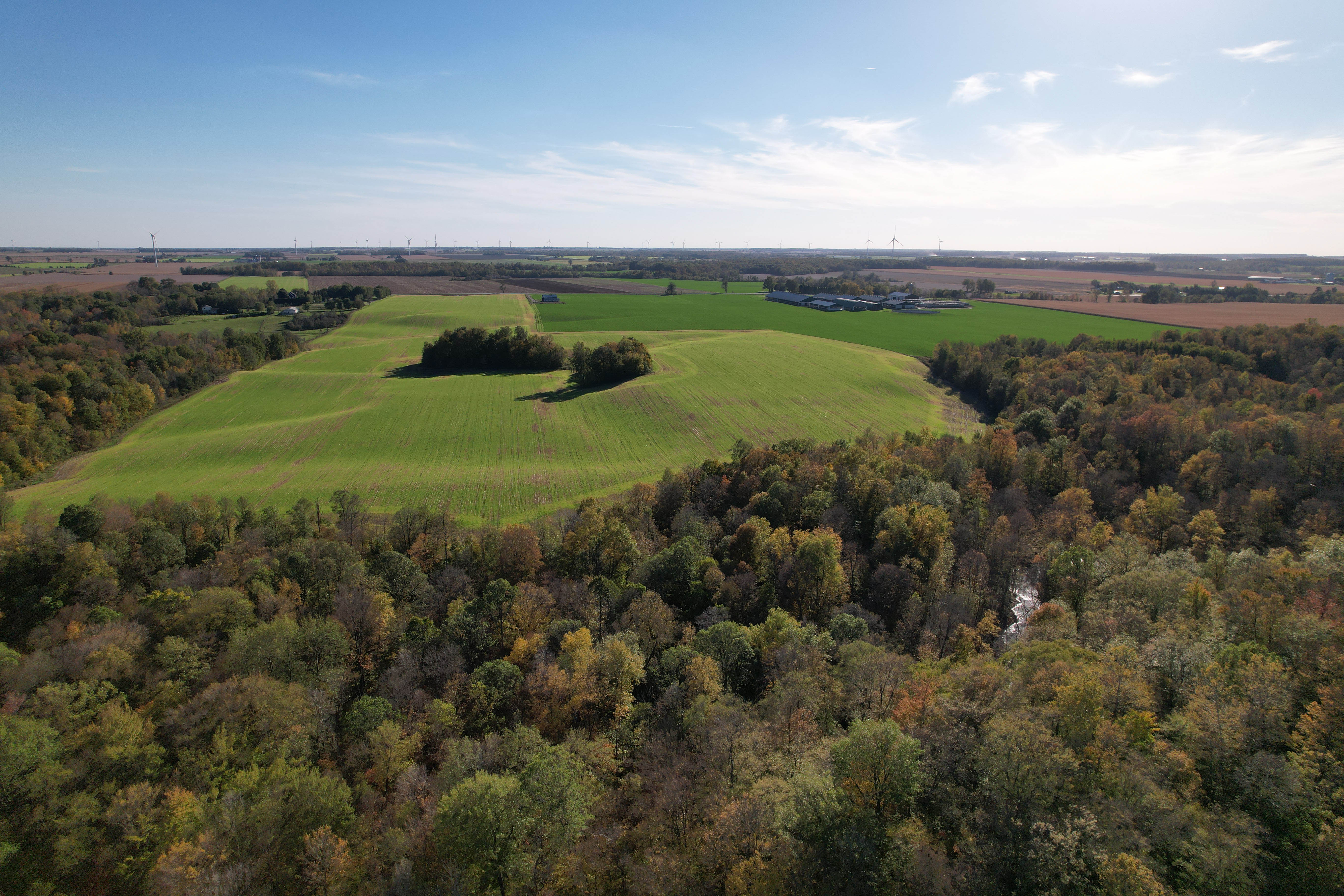 10272 Townsend Line, Strathroy, Ontario  N0M 2B0 - Photo 42 - RP2856491233