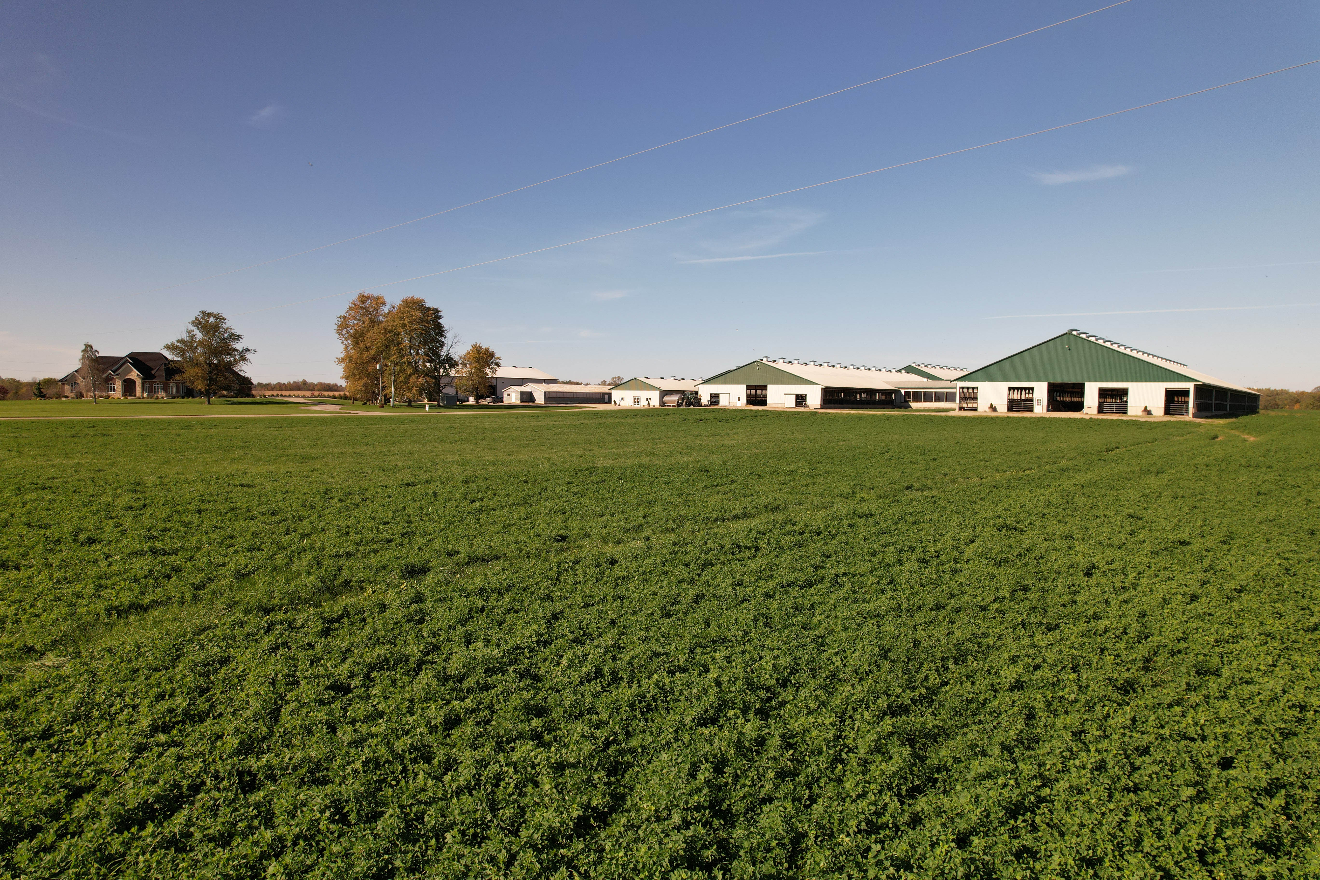 10272 Townsend Line, Strathroy, Ontario  N0M 2B0 - Photo 6 - RP2856491233