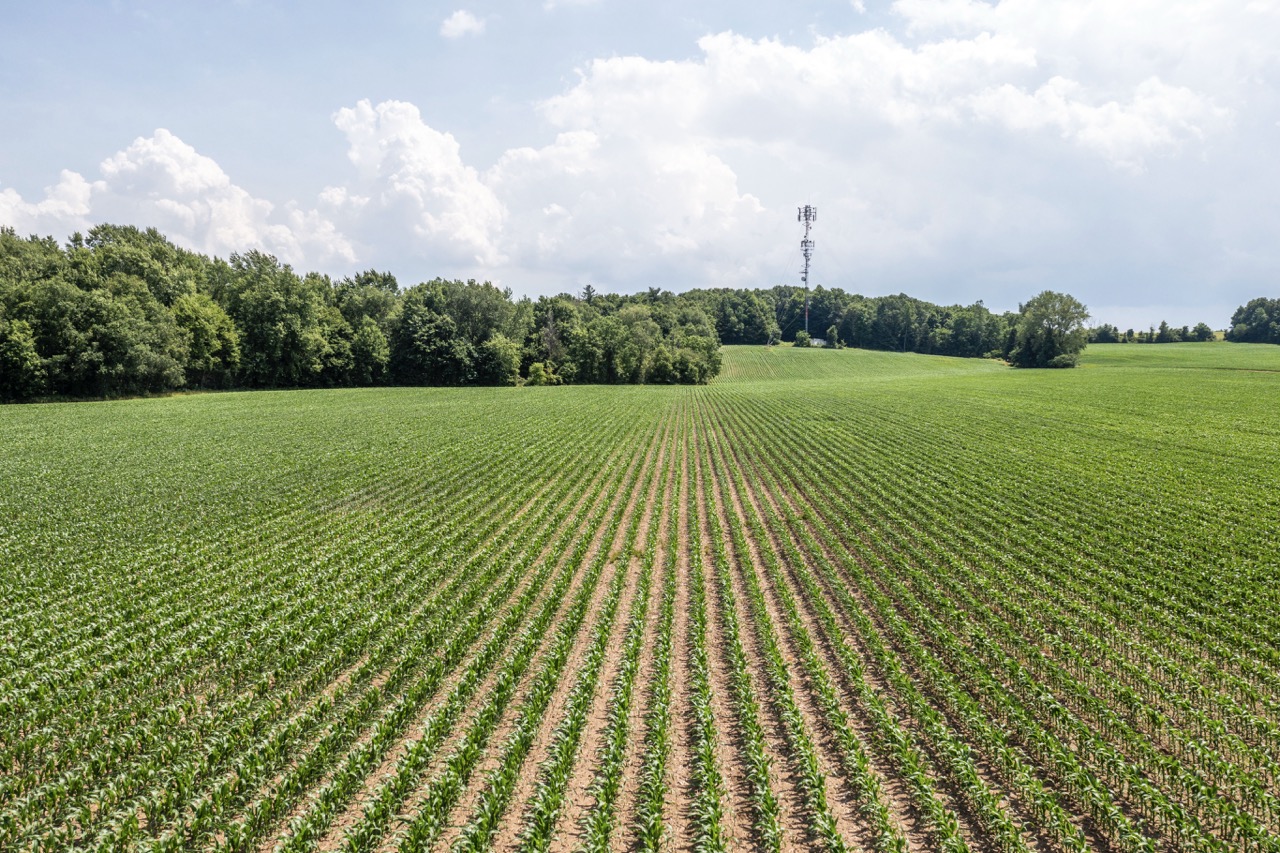 2169 Cromarty Dr, Dorchester, Ontario    - Photo 10 - RP2097939304