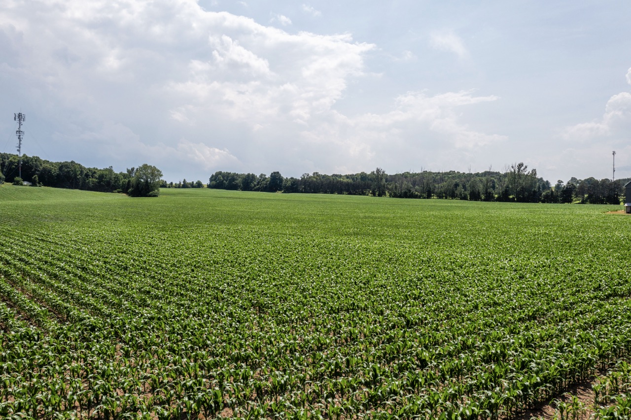 2169 Cromarty Dr, Dorchester, Ontario    - Photo 6 - RP2097939304