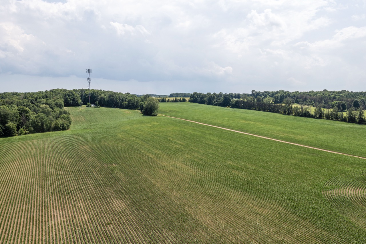 2169 Cromarty Dr, Dorchester, Ontario    - Photo 9 - RP2097939304