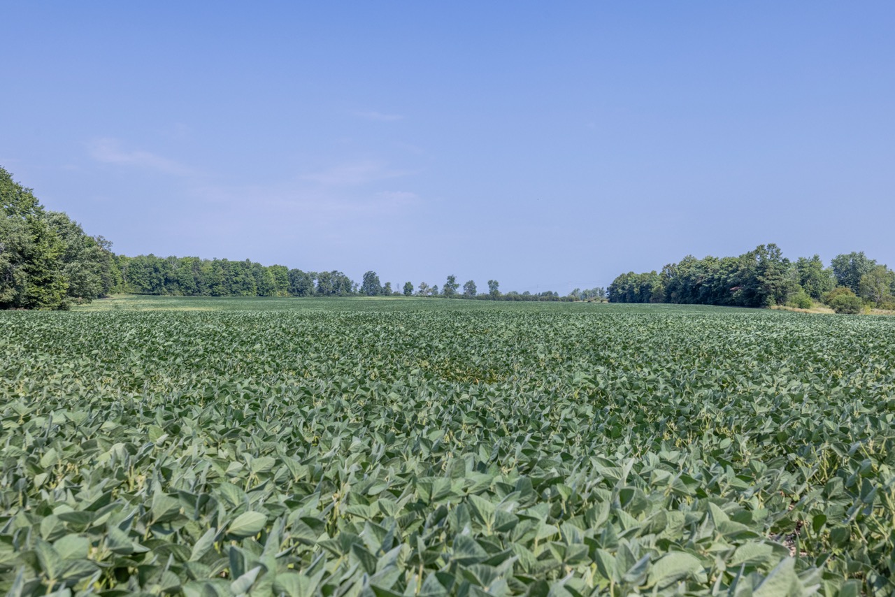 6519 County Road 29, Almonte, Ontario    - Photo 23 - RP5711652709