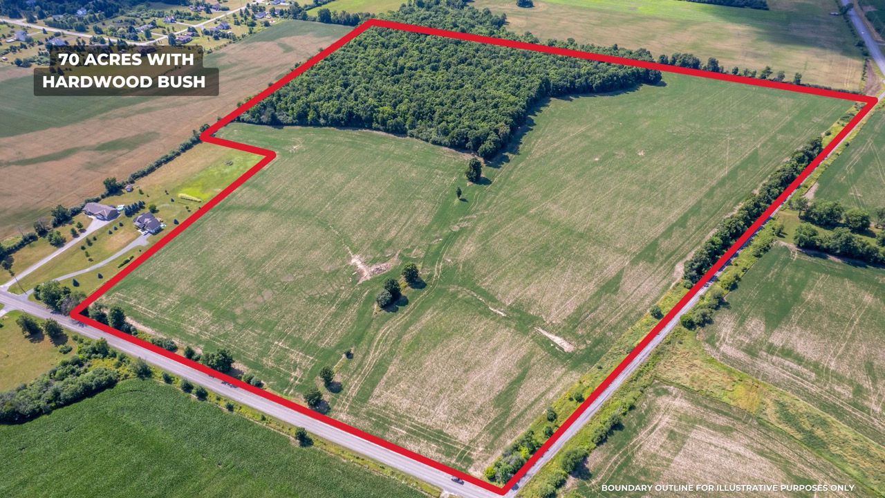 6519 County Road 29, Almonte, Ontario    - Photo 5 - RP5711652709