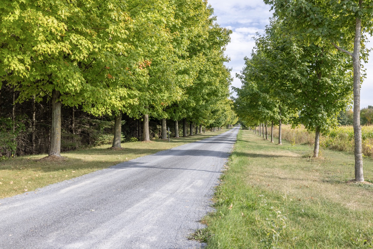 3000/2980 Roger Stevens Drive, North Gower, Ontario    - Photo 14 - RP5438435419