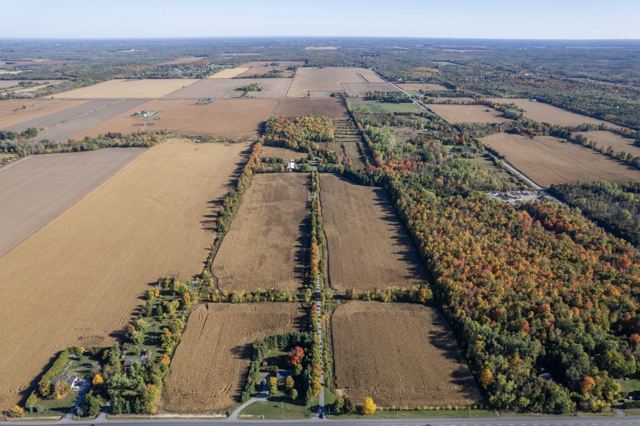 3000/2980 Roger Stevens Drive, North Gower, Ontario    - Photo 3 - RP5438435419