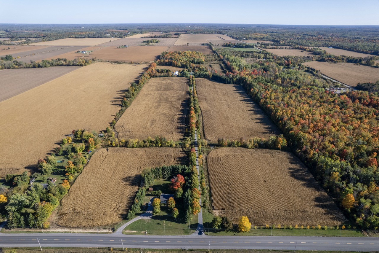 3000/2980 Roger Stevens Drive, North Gower, Ontario    - Photo 5 - RP5438435419