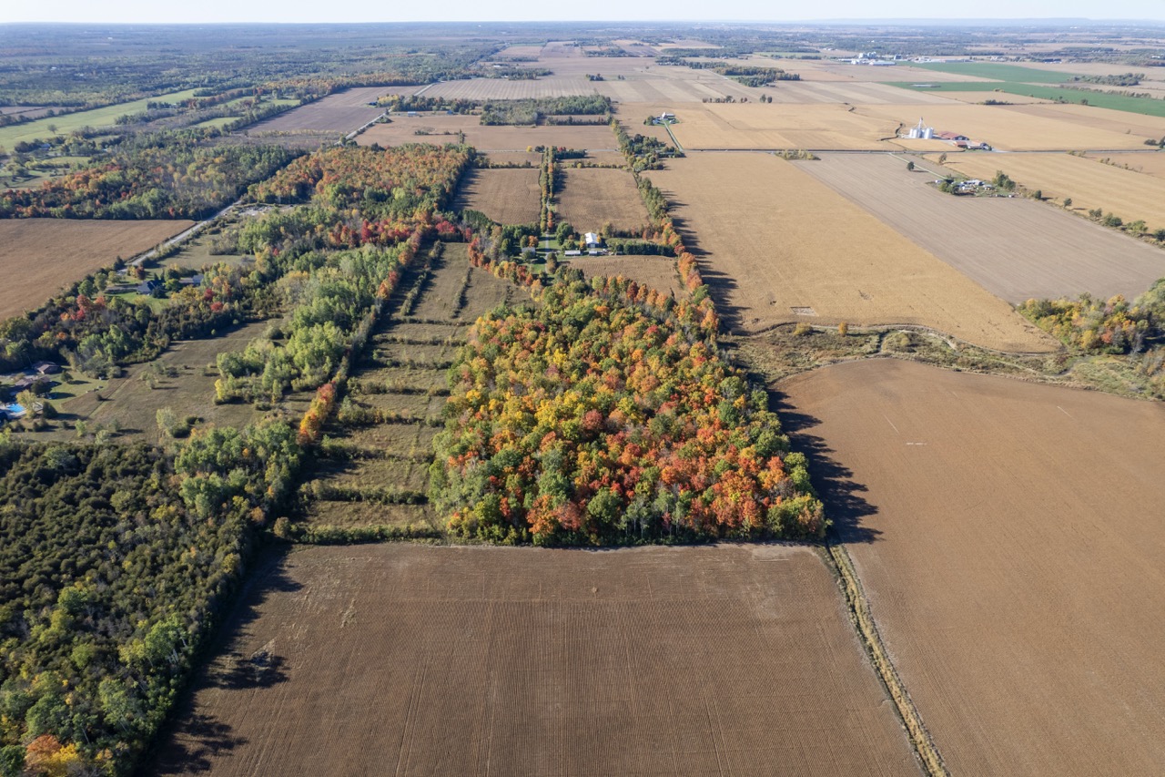 3000/2980 Roger Stevens Drive, North Gower, Ontario    - Photo 8 - RP5438435419