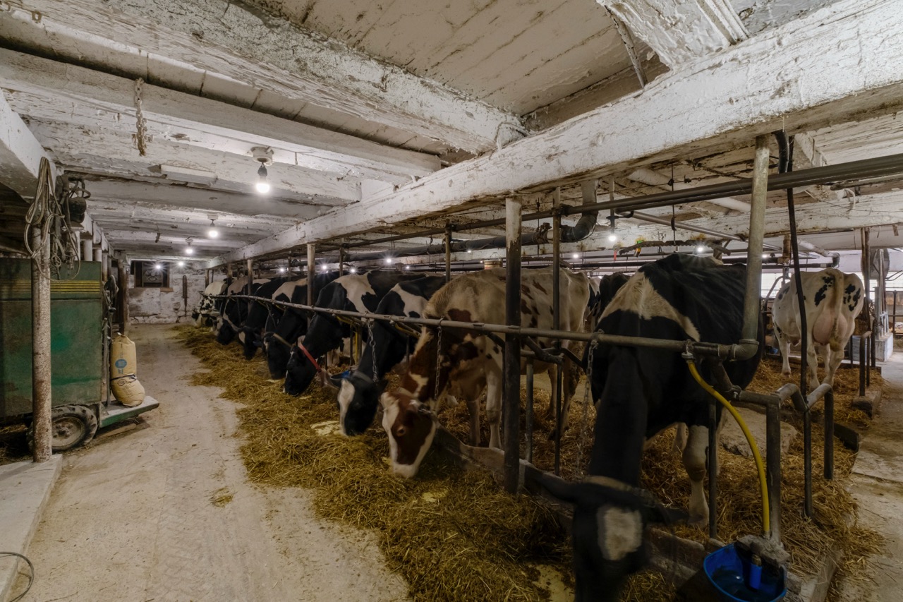 5205 13 Line, Harriston, Ontario    - Photo 14 - RP7040110884