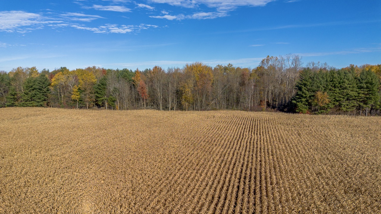 Pt Lt 140/141 Con Str (Col Talbot Rd), Tillsonburg, Ontario    - Photo 10 - RP2633142724