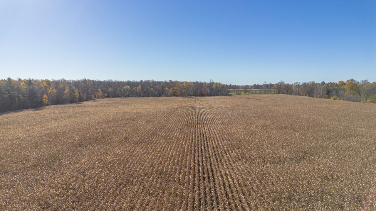Pt Lt 140/141 Con Str (Col Talbot Rd), Tillsonburg, Ontario    - Photo 11 - RP2633142724