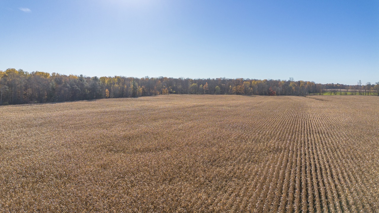Pt Lt 140/141 Con Str (Col Talbot Rd), Tillsonburg, Ontario    - Photo 12 - RP2633142724