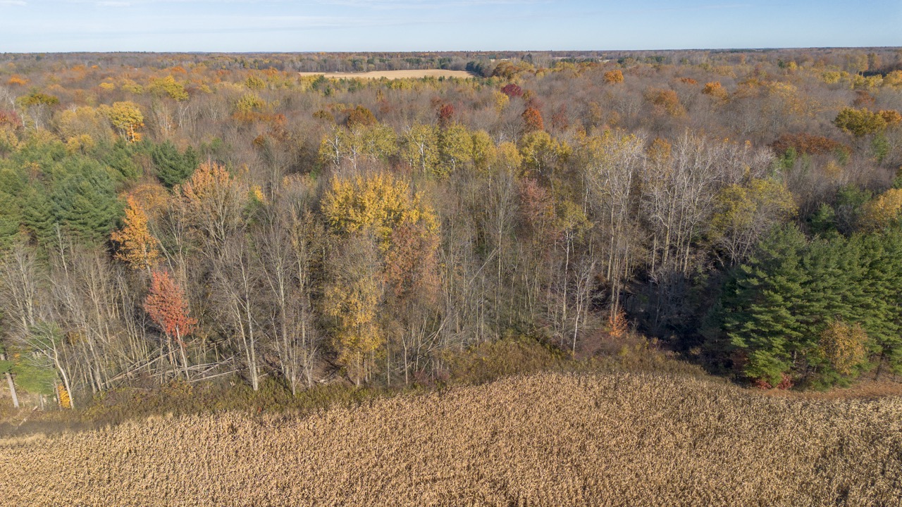 Pt Lt 140/141 Con Str (Col Talbot Rd), Tillsonburg, Ontario    - Photo 14 - RP2633142724