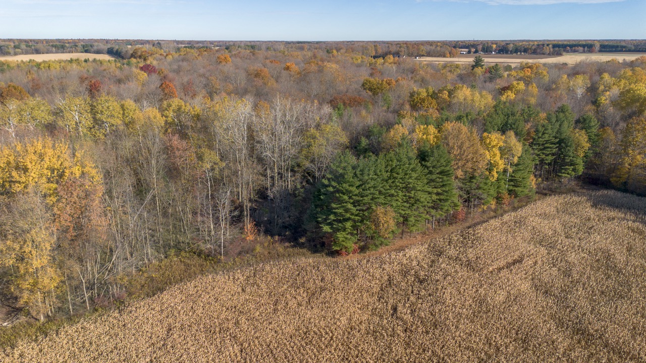 Pt Lt 140/141 Con Str (Col Talbot Rd), Tillsonburg, Ontario    - Photo 15 - RP2633142724