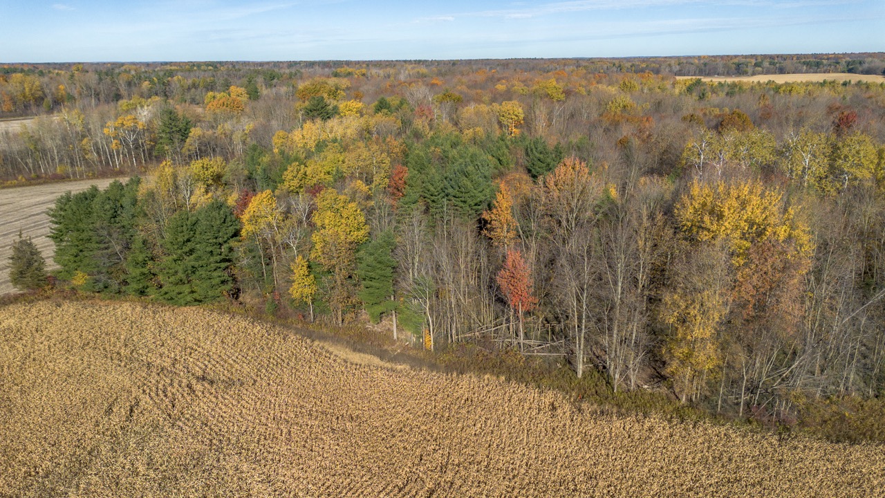Pt Lt 140/141 Con Str (Col Talbot Rd), Tillsonburg, Ontario    - Photo 16 - RP2633142724
