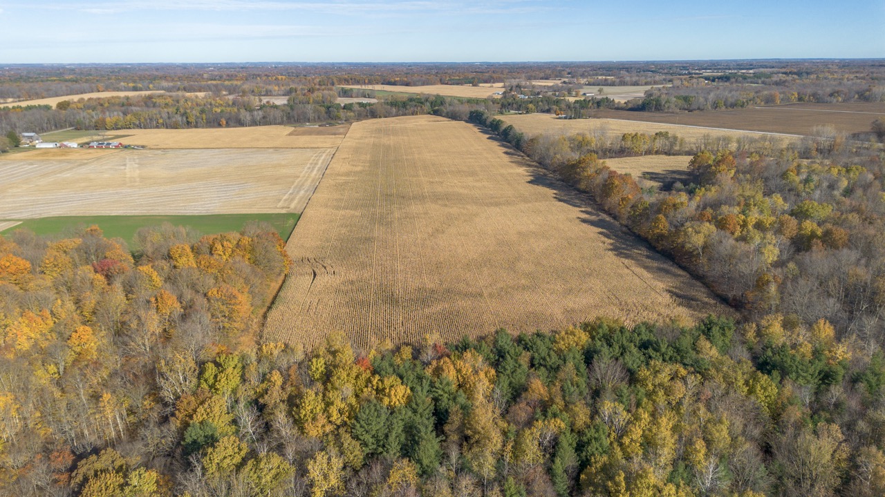 Pt Lt 140/141 Con Str (Col Talbot Rd), Tillsonburg, Ontario    - Photo 19 - RP2633142724