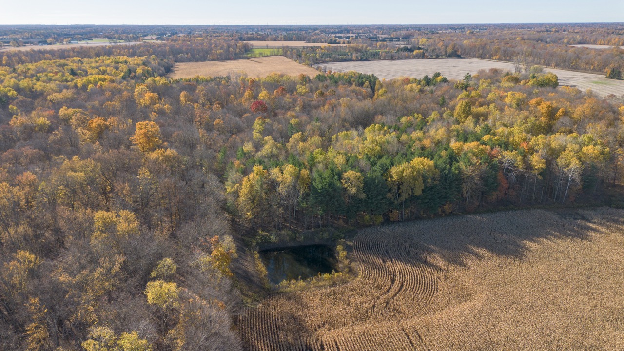 Pt Lt 140/141 Con Str (Col Talbot Rd), Tillsonburg, Ontario    - Photo 23 - RP2633142724