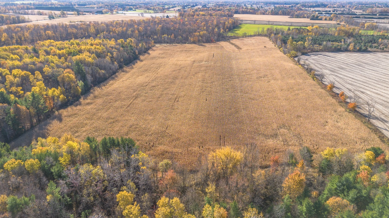 Pt Lt 140/141 Con Str (Col Talbot Rd), Tillsonburg, Ontario    - Photo 26 - RP2633142724