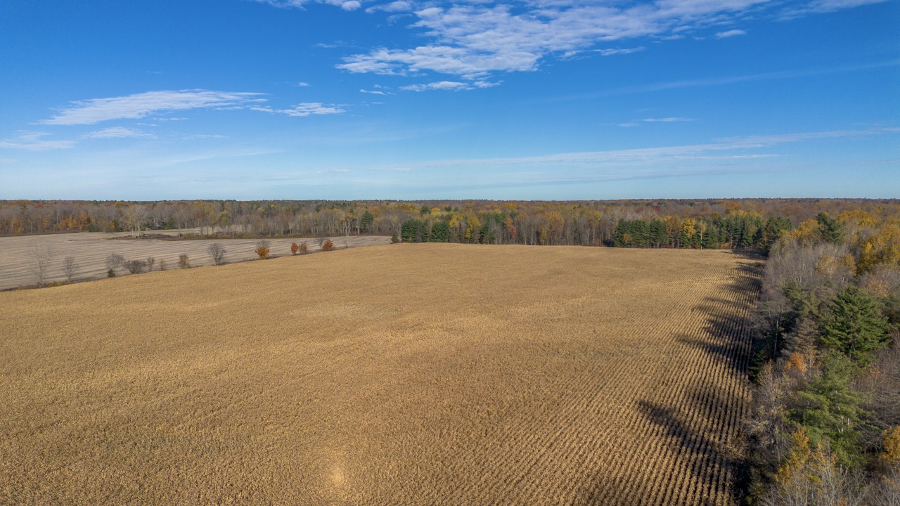 Pt Lt 140/141 Con Str (Col Talbot Rd), Tillsonburg, Ontario    - Photo 3 - RP2633142724