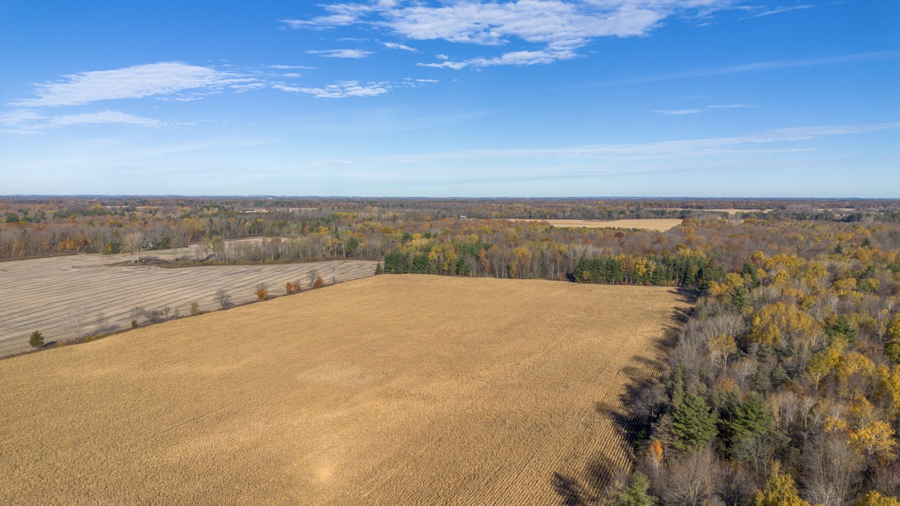 Pt Lt 140/141 Con Str (Col Talbot Rd), Tillsonburg, Ontario    - Photo 7 - RP2633142724