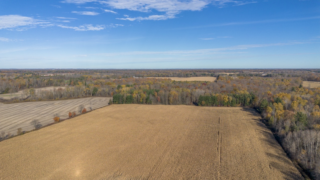 Pt Lt 140/141 Con Str (Col Talbot Rd), Tillsonburg, Ontario    - Photo 8 - RP2633142724