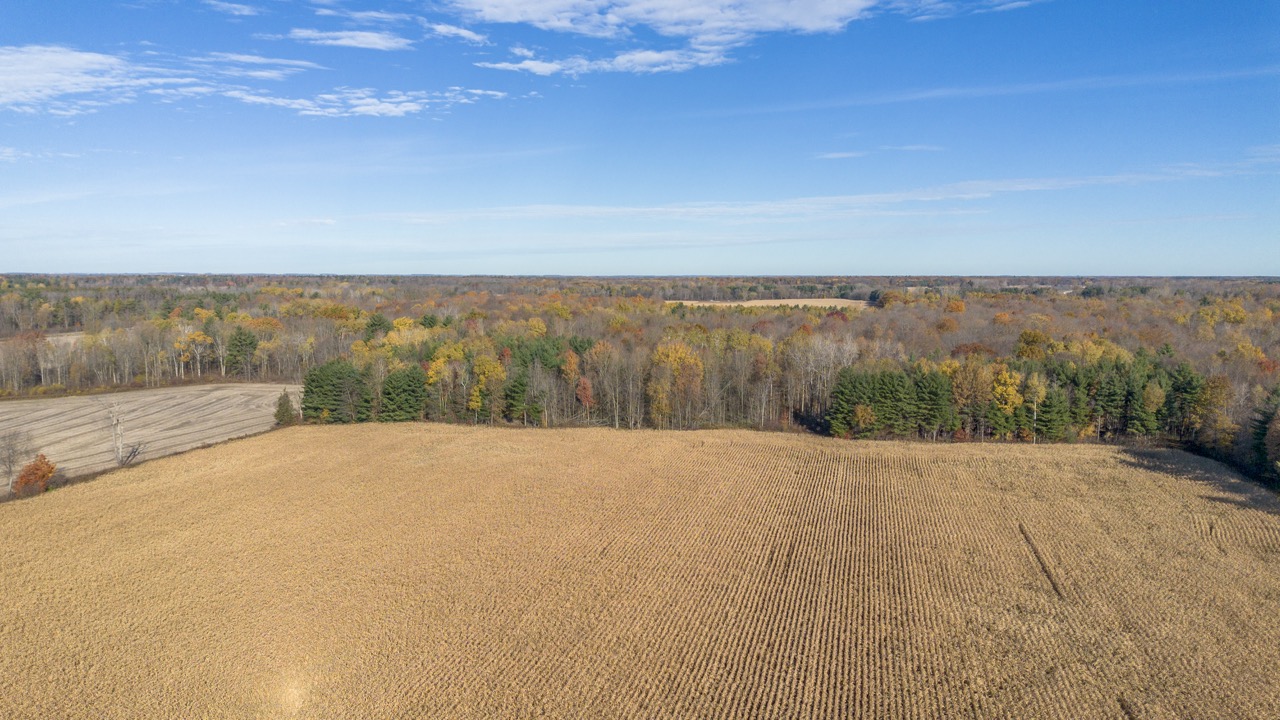 Pt Lt 140/141 Con Str (Col Talbot Rd), Tillsonburg, Ontario    - Photo 9 - RP2633142724