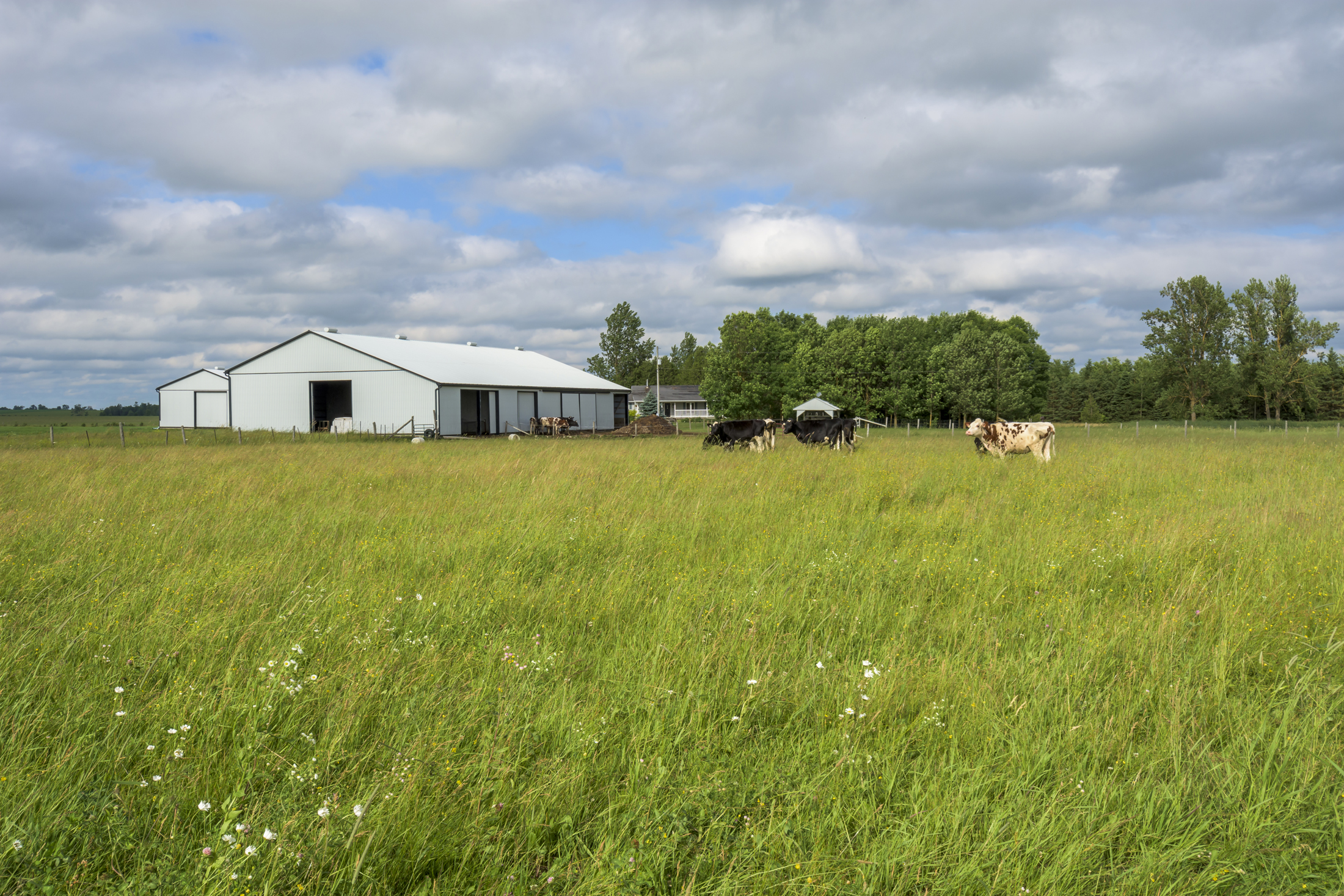 8190 8th Line, Kenilworth, Ontario  N0G 2E0 - Photo 10 - RP8990530687