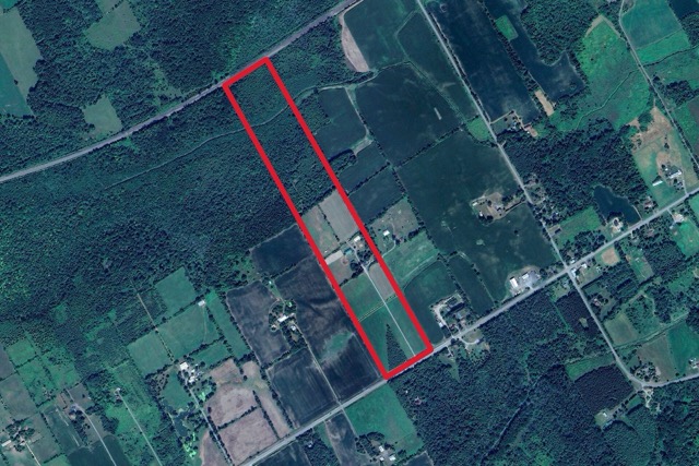 19637 County Road 25, Apple Hill, Ontario    - Photo 9 - RP2635585753