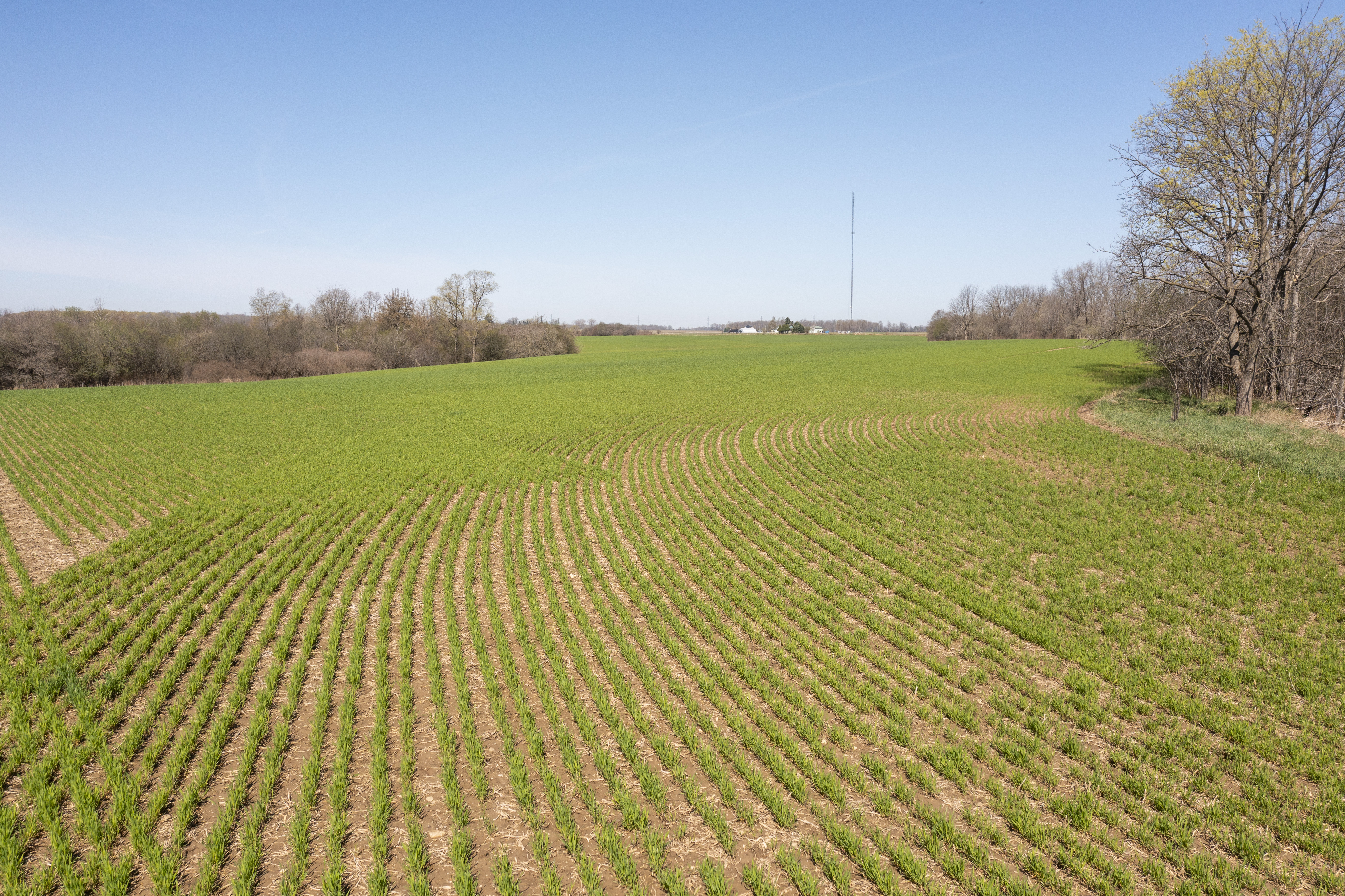 44382 Ferguson Line, St Thomas, Ontario    - Photo 11 - RP1626677408