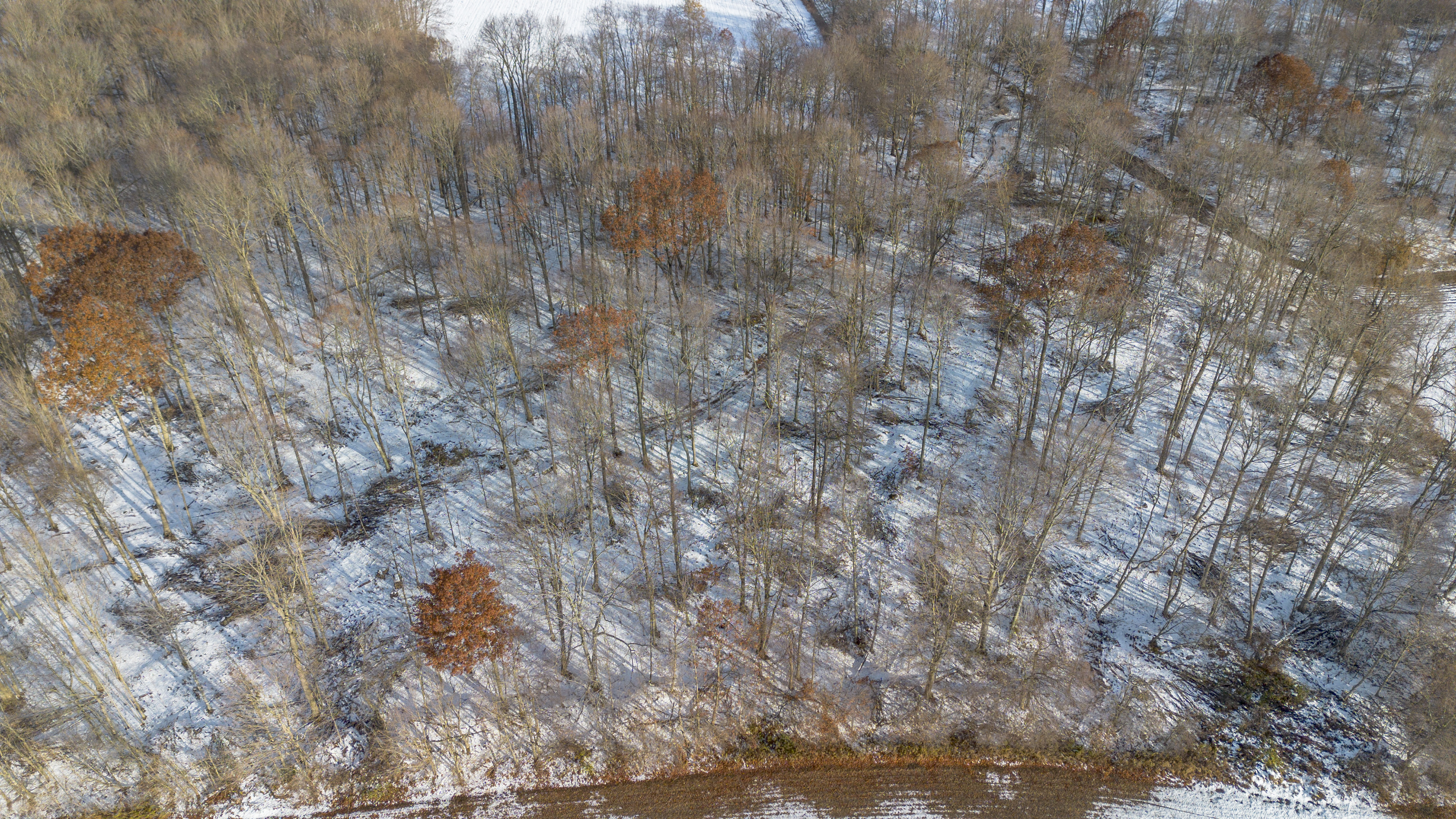 Pt S1/2 Lt 22 Conc 3, Vienna, Ontario    - Photo 10 - RP4373422864