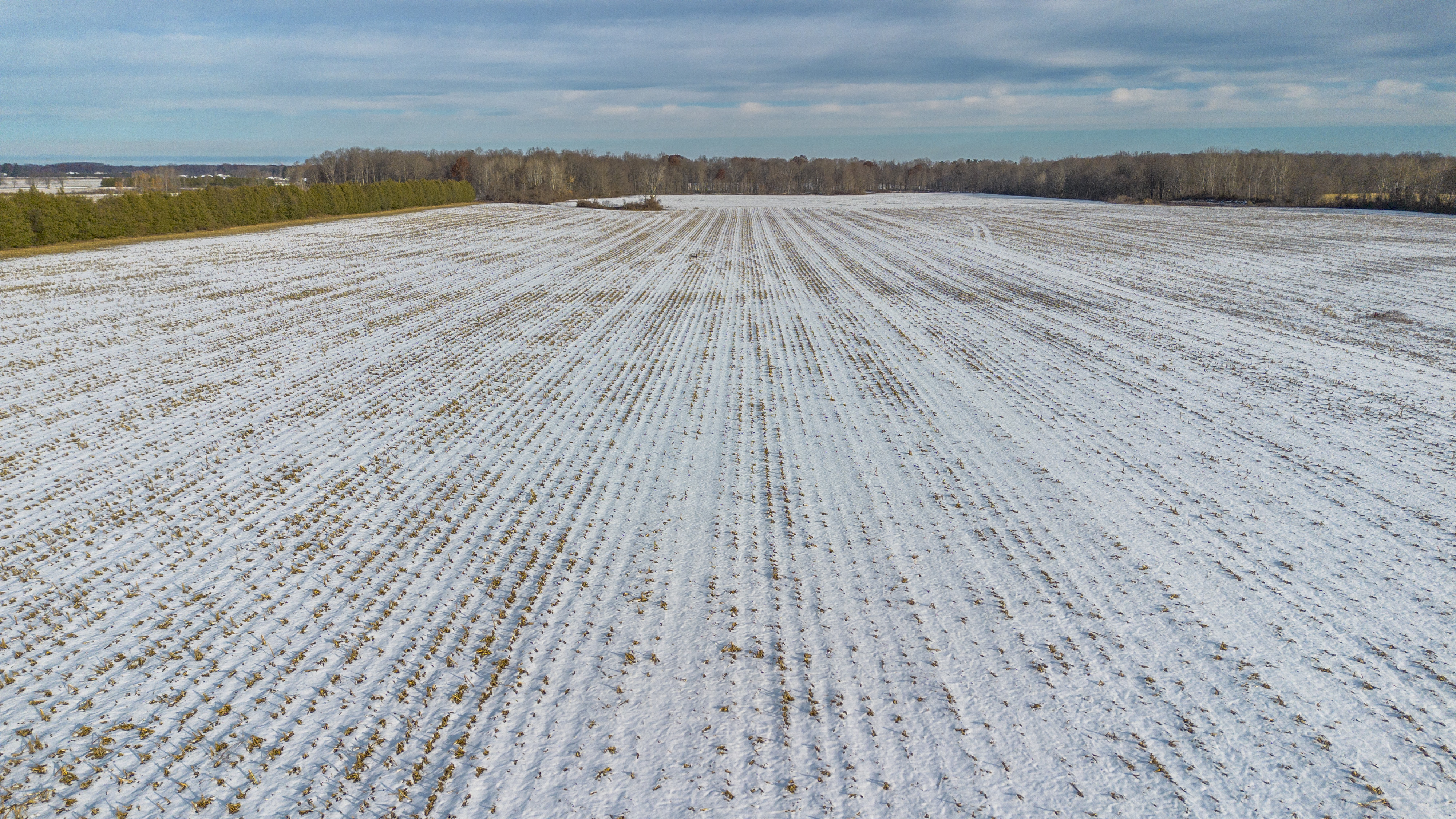 Pt S1/2 Lt 22 Conc 3, Vienna, Ontario    - Photo 13 - RP4373422864