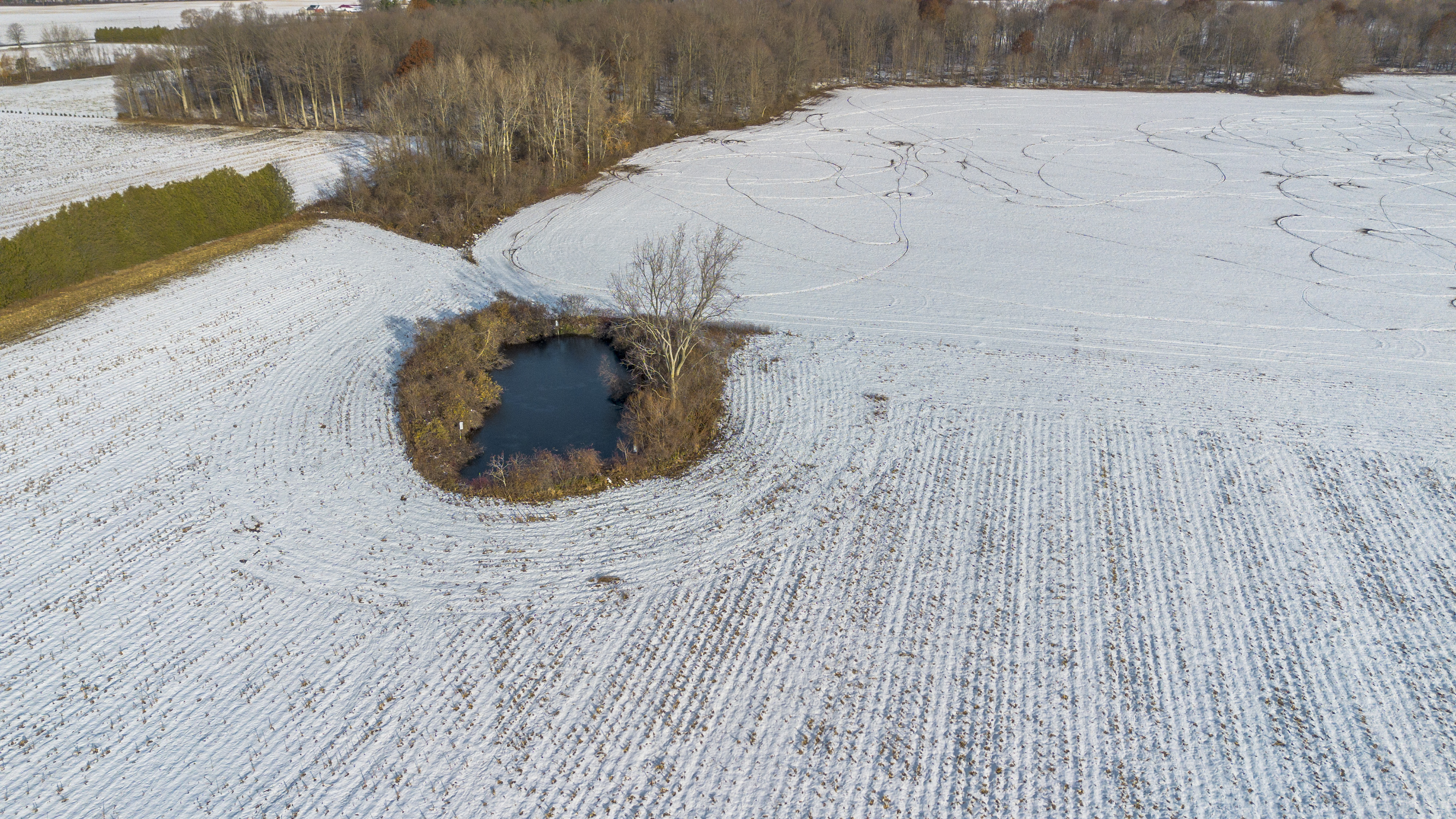 Pt S1/2 Lt 22 Conc 3, Vienna, Ontario    - Photo 6 - RP4373422864