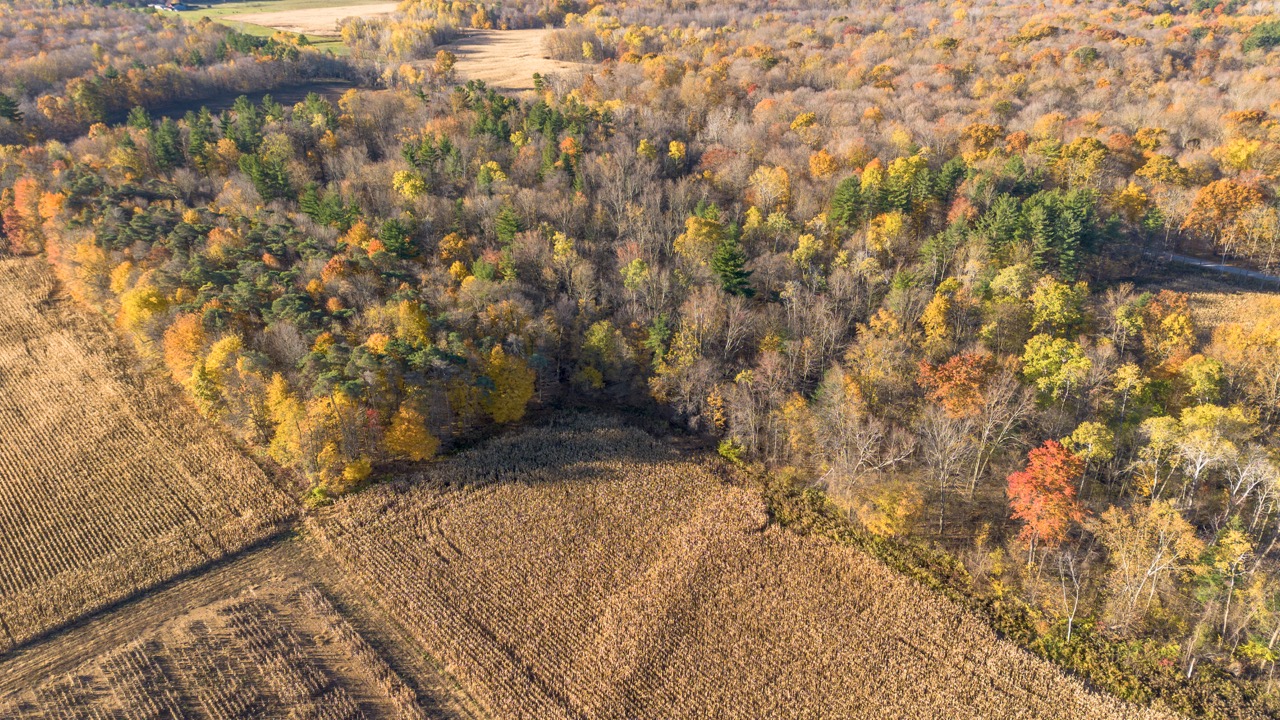 8916 Coyle Road, Bayham, Ontario    - Photo 13 - RP2451655918