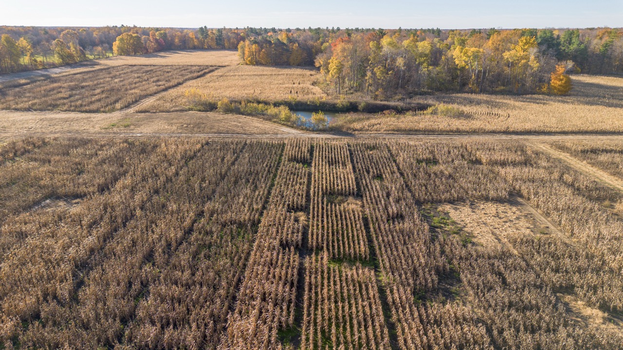 8916 Coyle Road, Bayham, Ontario    - Photo 24 - RP2451655918