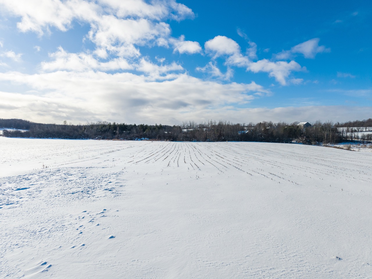 197166 Grey Road 7, Meaford, Ontario    - Photo 10 - RP960515408