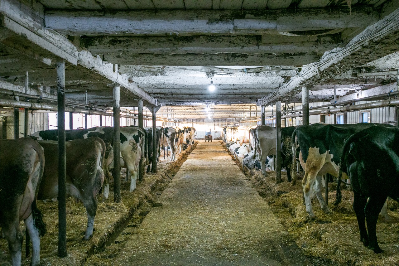 197166 Grey Road 7, Meaford, Ontario    - Photo 21 - RP960515408