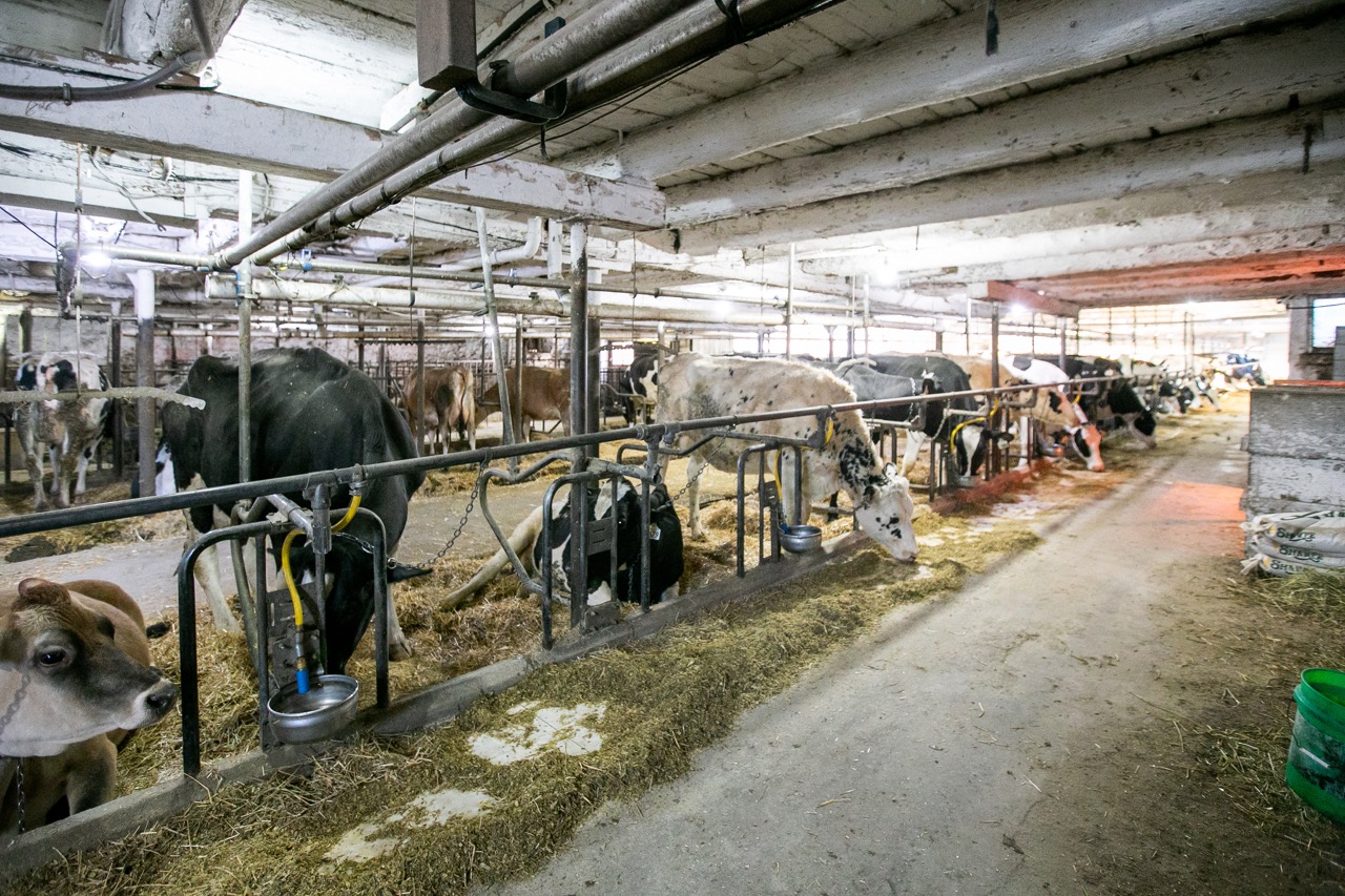 197166 Grey Road 7, Meaford, Ontario    - Photo 22 - RP960515408