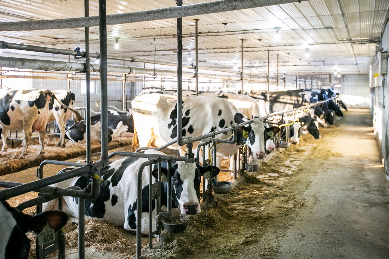 197166 Grey Road 7, Meaford, Ontario    - Photo 23 - RP960515408