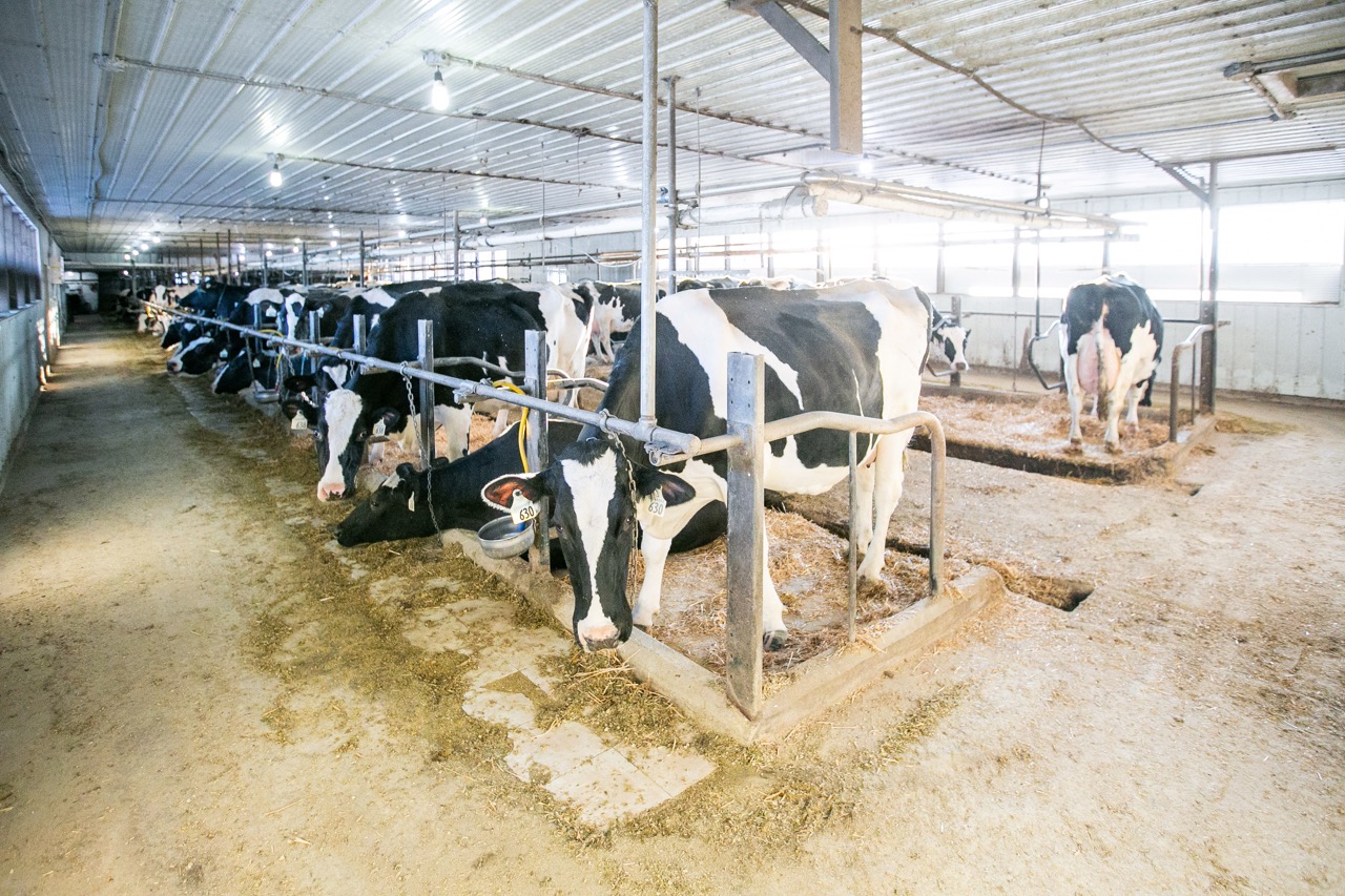 197166 Grey Road 7, Meaford, Ontario    - Photo 24 - RP960515408