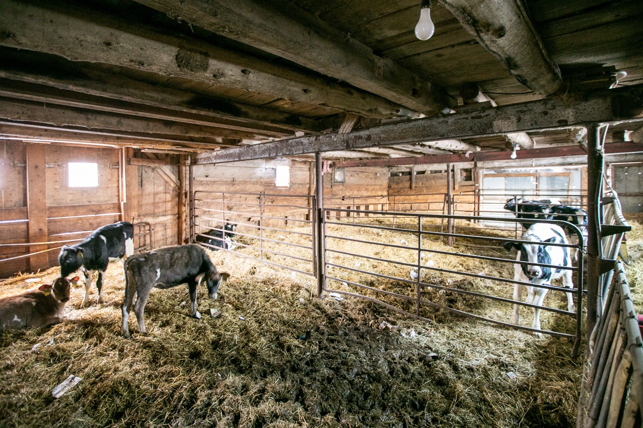 197166 Grey Road 7, Meaford, Ontario    - Photo 25 - RP960515408
