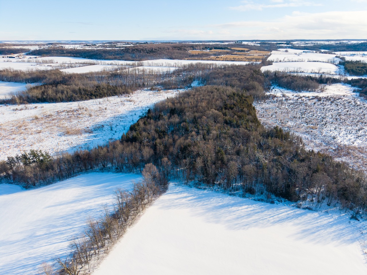 197166 Grey Road 7, Meaford, Ontario    - Photo 8 - RP960515408