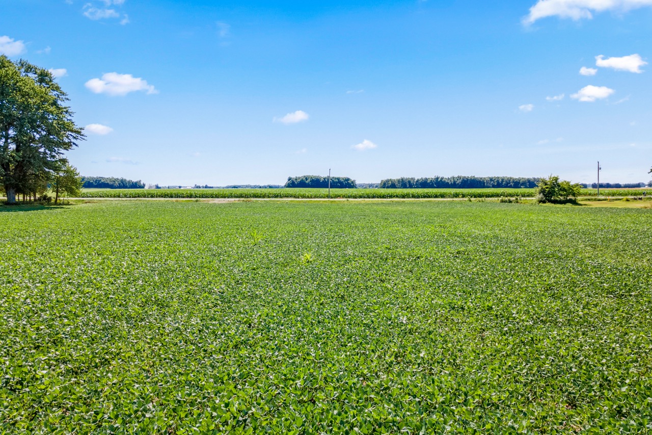 73874 Morrison Line, Kippen, Ontario    - Photo 10 - RP7522201869