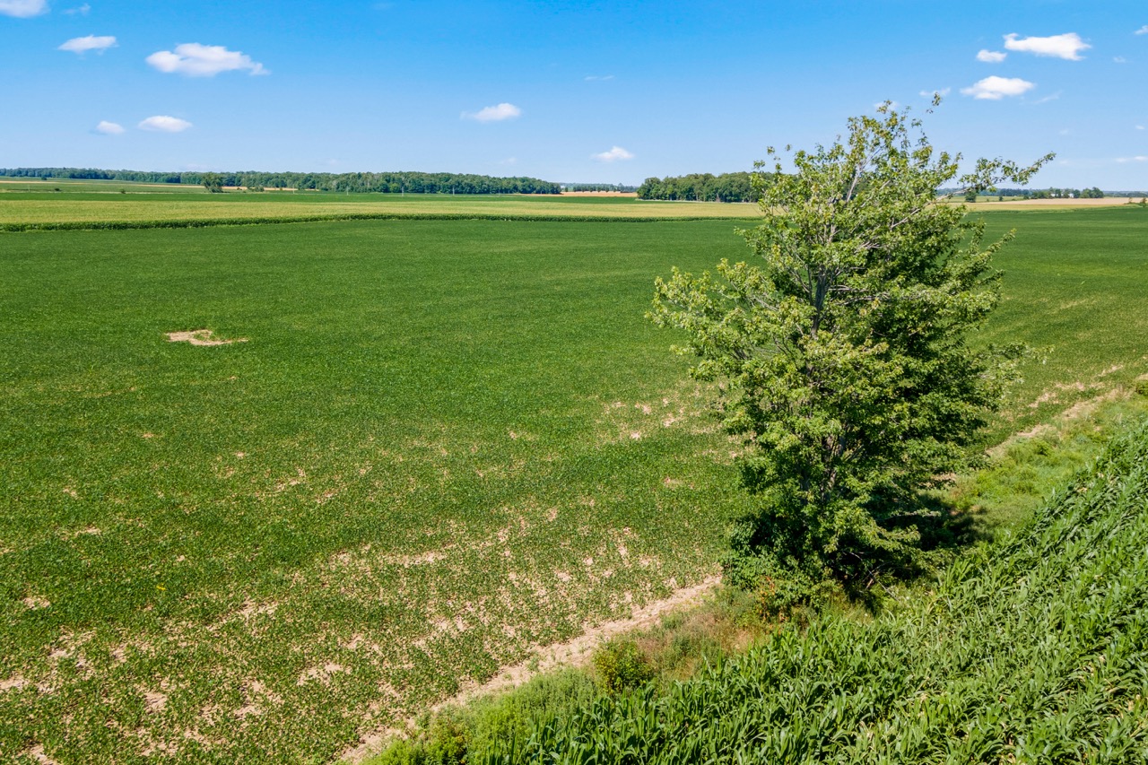 73874 Morrison Line, Kippen, Ontario    - Photo 12 - RP7522201869