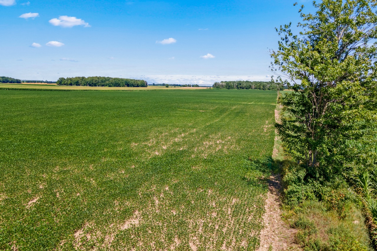 73874 Morrison Line, Kippen, Ontario    - Photo 13 - RP7522201869