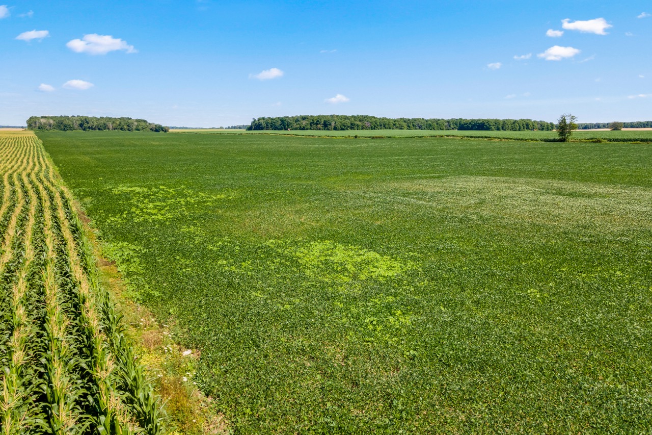 73874 Morrison Line, Kippen, Ontario    - Photo 15 - RP7522201869