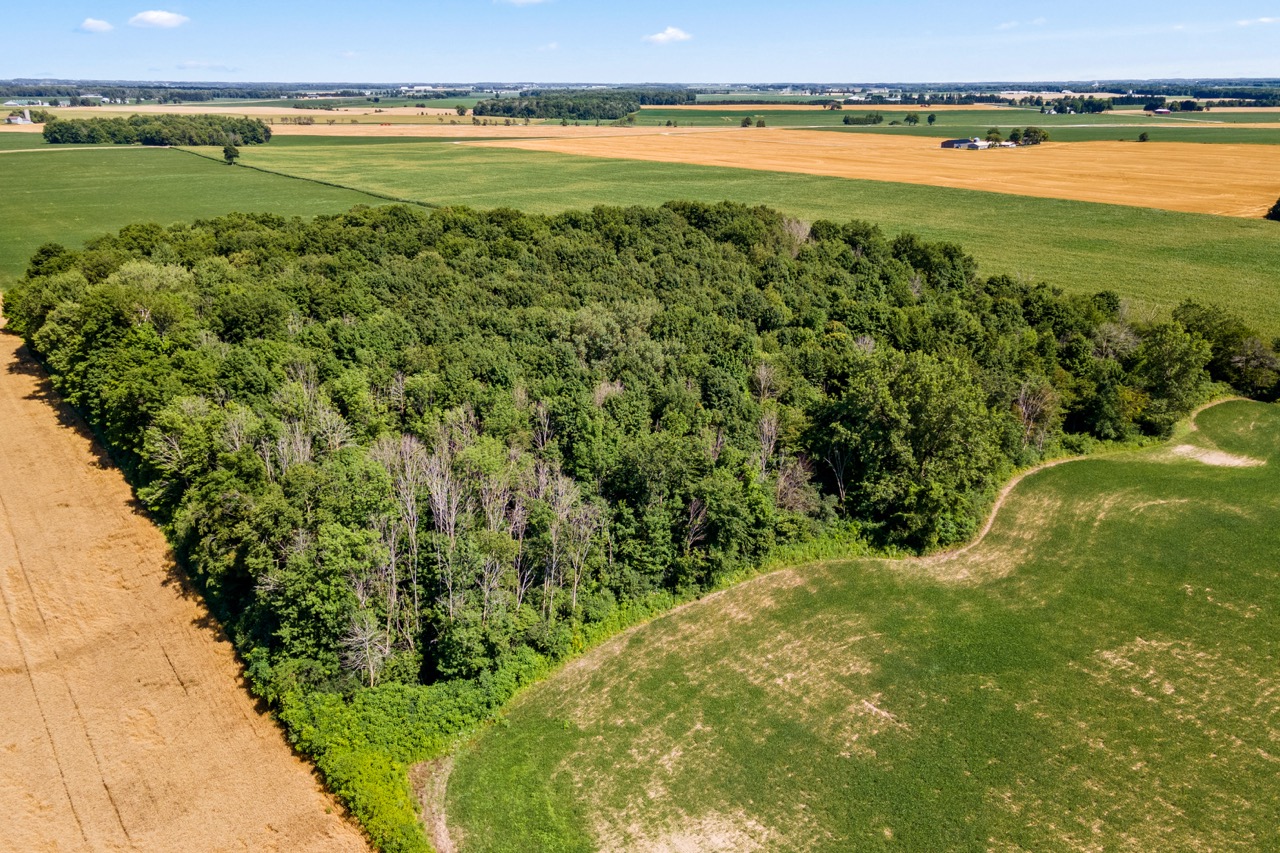 73874 Morrison Line, Kippen, Ontario    - Photo 16 - RP7522201869
