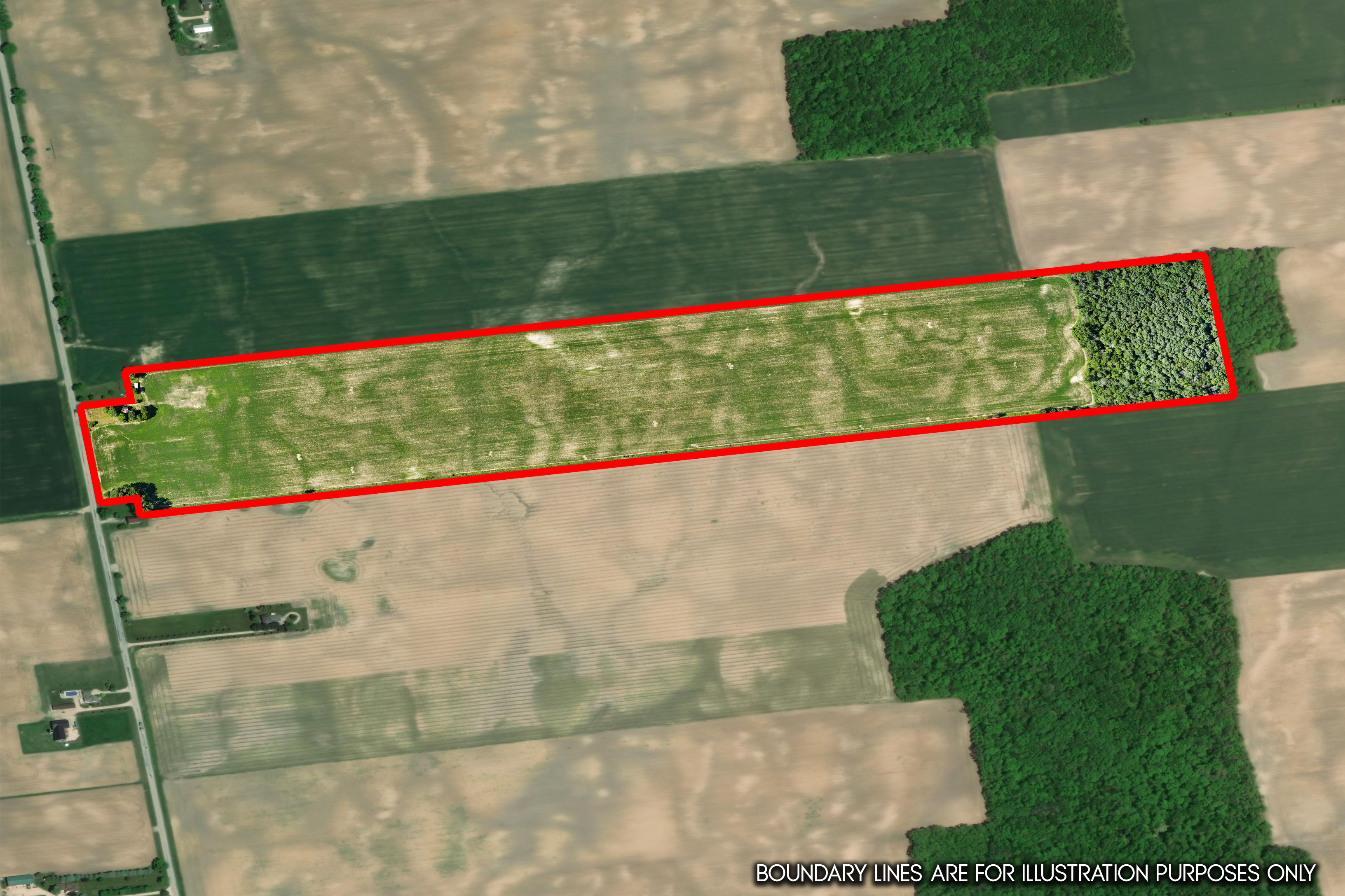 73874 Morrison Line, Kippen, Ontario    - Photo 20 - RP7522201869