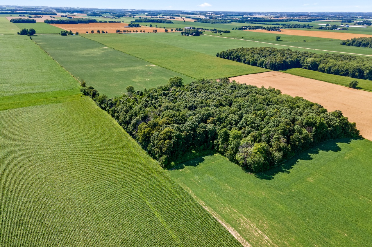 73874 Morrison Line, Kippen, Ontario    - Photo 3 - RP7522201869